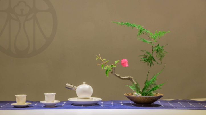 岁月醇香：老陈茶的故事与传奇
